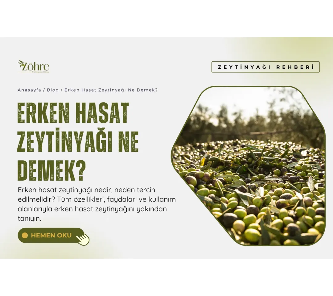 Erken Hasat Zeytinyağı Ne Demek?