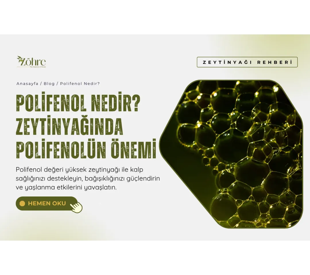 Polifenol