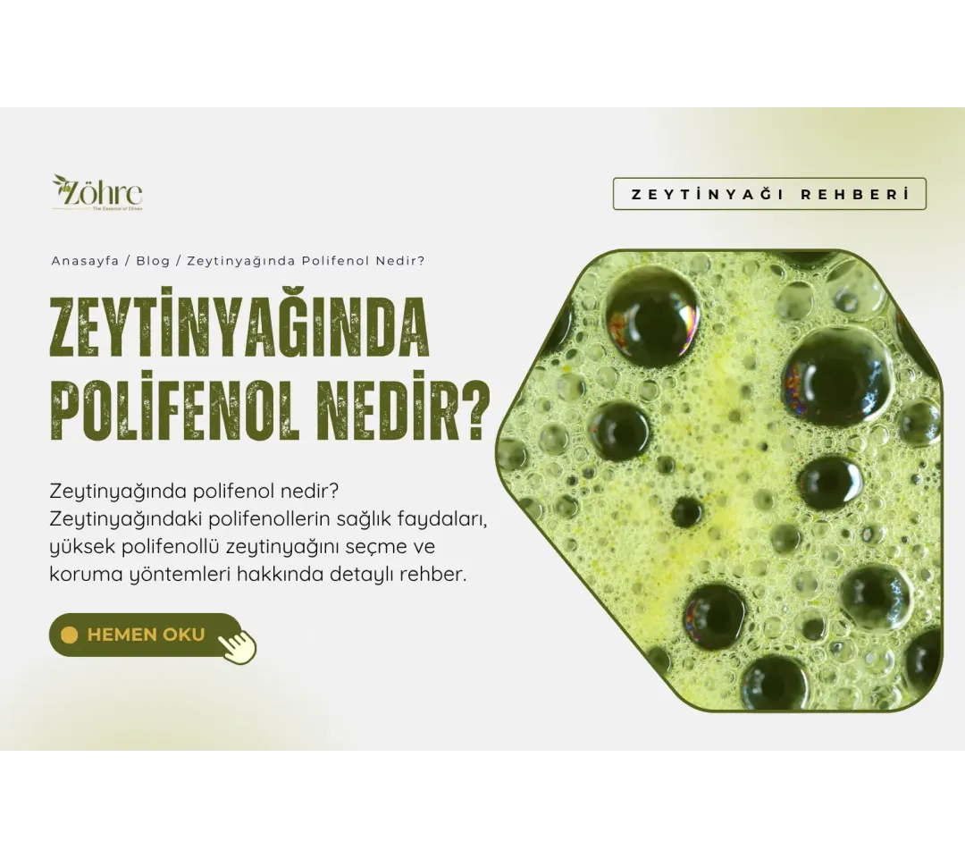 Zeytinyağında Polifenol Nedir?