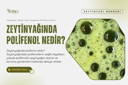 Zeytinyağında Polifenol Nedir?