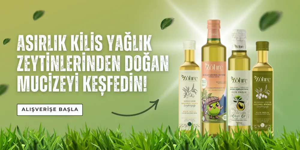 kilis yağlık zeytini