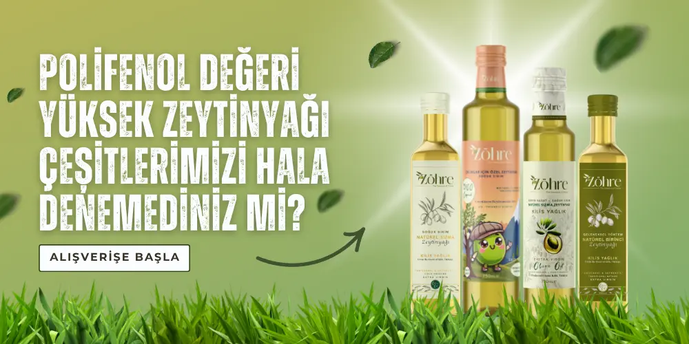 polifenol değeri yüksek zeytinyağı